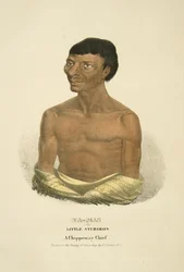 Na-mas o il Piccolo Storione